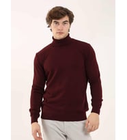 Bordo Erkek Slim Fit Düz Klasik Tam Balıkçı Yaka Triko