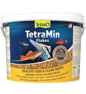 TetraMin Flakes 50 gr (Açık) Poşette 2025 New Seri Natural Pul Balık Yemi Skt:02/2028