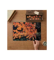 Kırmızı Mercan Denizaltı Canlıları Tasarımı 240 parça Ahşap Puzzle Ahşap Kutuda MP00095