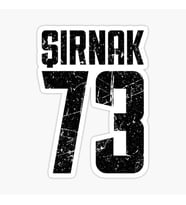 73 ŞIRNAK Sticker Yapıştırma Oto Etiket 17cm