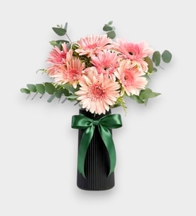 Siyah Çizgili Polimer Vazoda Pembe Gerbera Çiçekleri