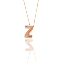 Söğütlü Silver Gümüş rose üç boyutlu minimal  Z harf kolye