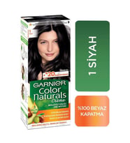 Garnier Color Naturals 1 Siyah Saç Boyası
