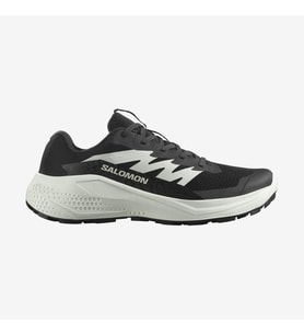Salomon ALPHAGLIDE W Kadın Ayakkabısı L47801500 (Çok Renkli)