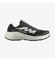 Salomon ALPHAGLIDE W Kadın Ayakkabısı L47801500 (Çok Renkli)