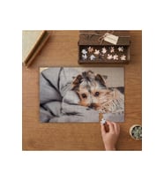Sevimli Yatan Köpek Tasarımı 240 parça Ahşap Puzzle Ahşap Kutuda MP02715