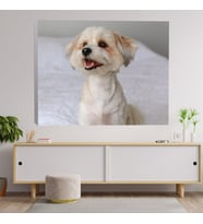 Sevimli Shot Yavru Köpeği Dekoratif Kanvas Tablo