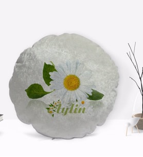 BK Gift Kişiye Özel İsimli Papatya Temalı Yuvarlak Dekoratif Kırlent Yastık-4