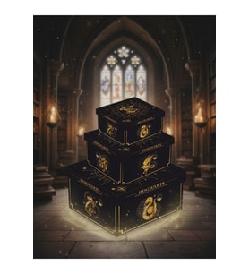 Harry Potter Lisanslı Kare 3'lü Hediye Kutusu