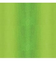 Pebeo Dyna Yağlı Boya 37ml No:359 Iridescent Green Yellow