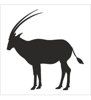 GEYİK FOLYO STİCKER 80cm Uzunluk (Karışık)