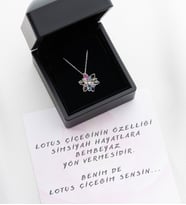 Saklı Takı 925 Ayar Gümüş Işıklı Kutu Renkli Lotus Kolye