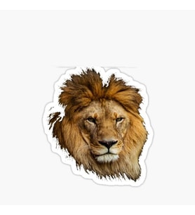 Renkli Aslan Araba Oto Sticker Yapıştırma Etiket 17CM A8