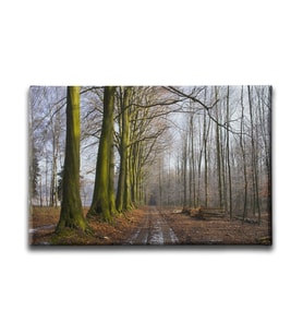 Yol Manzara Tablo MZY364