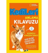 Kedileri Anlama Kılavuzu: Kedi Dilini Çözmek İçin Bir Rehber