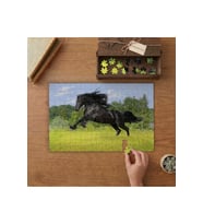 Koşan Siyah Görkemli At Tasarımı 240 parça Ahşap Puzzle Ahşap Kutuda MP04758