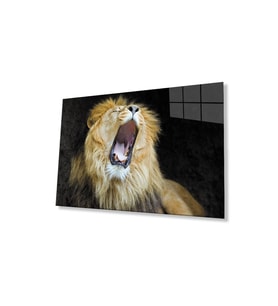 Aslan Cam Tablo 4mm Dayanıklı Temperli Cam (Çok Renkli)