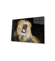 Aslan Cam Tablo 4mm Dayanıklı Temperli Cam (Çok Renkli)