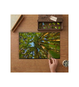 Bambu Ağaçları Tasarımı 240 parça Ahşap Puzzle Ahşap Kutuda MP05126