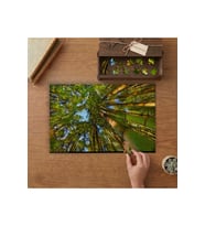 Bambu Ağaçları Tasarımı 240 parça Ahşap Puzzle Ahşap Kutuda MP05126