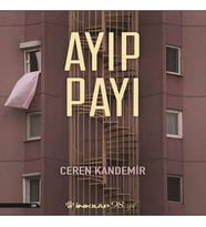 Ayıp Payı