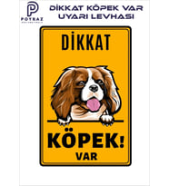 Sevimli Köpek King Charles Cavalier Dikkat Köpek Var Levha (20x13 cm)
