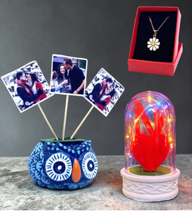 Renkli Işıklı Fanus, 3 Fotoğraflı Baykuş ve Tasarım Kolye Seti (Model 6)