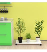 Kenzlife saksı altlığı kazım byz 010*090*30 tüp saksılık