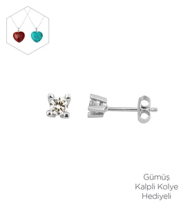 Tektaş 14 Ayar Beyaz Altın Küpe