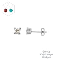 Tektaş 14 Ayar Beyaz Altın Küpe