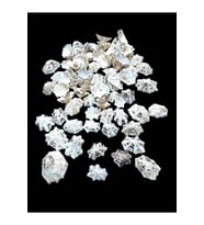 Deniz Kabukları 100 Gr NO-9-STARLİMPET