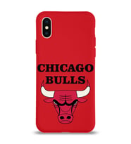 Apple iPhone X Uyumlu Lansman Kılıf Chicago Bulls Tasarımlı Altı Kapalı İçi Kadife Kaplı  Kapak (Şeffaf)