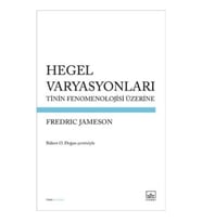 Hegel Varyasyonları: Tinin Fenomenolojisi Üzerine