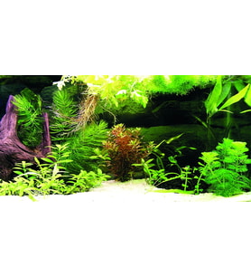 Kanki Pet KP1256336 Akvaryum Arka Fon Yapıştırma 125 x 63 CM