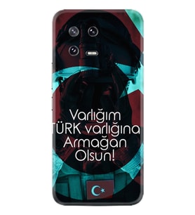 Xiaomi 13 Kılıf Resimli Desenli Baskılı Silikon Armağan 1425