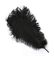 400 PCS DECOR VIP BLACK BIRD FEATHER 400 ADET SİYAH KUŞ TÜYÜ SİYAH ŞEFFAF BALON TÜYÜ SÜSLEME TÜYÜ