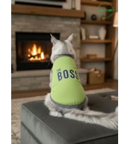 The Boss (Patron) Desenli Kedi ve Köpek Kıyafeti–Sevimli Evcil Hayvan Tişörtü Elbisesi, Farklı Renklerde (Yeşil)