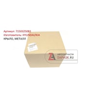 Hyundai Accent 2003-2006 Çamurluk Arka Sol (Oem No: 71503-250B1)