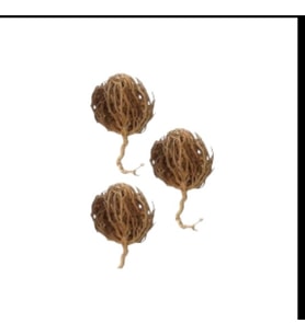 Meryem Ana Otu Dökme 1 Kg