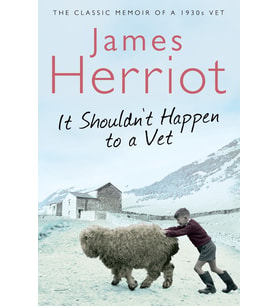 It Shouldn'T Happen To A Vet: The Classic Memoir Of A 1930S Vet