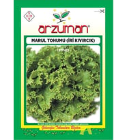 İri Kıvırcık Marul Tohumu 10 Gr