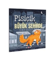 PİSİCİK BÜYÜK ŞEHİRDE