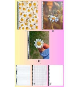 Papatya 3 adet defter A4 büyük boy çizgili_kareli_çizgisiz