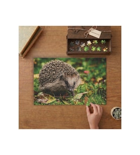 Çimenlerde Kirpi - Sevimli Kirpi Tasarımı 240 parça Ahşap Puzzle Ahşap Kutuda MP02002