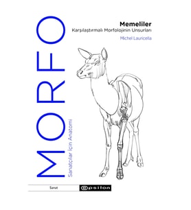 Morfo - Memeliler Karşılaştırmalı Morfolojinin Unsurları