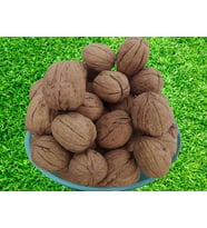 Ceviz Bahçemizden İnce Kabuklu Kolayca kırılır Chandler Doğal Üretim 3kg