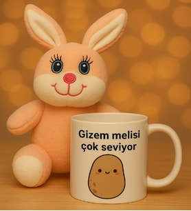 Peluş Tavşan Hediye Kutusu