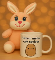 Peluş Tavşan Hediye Kutusu
