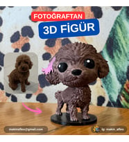 MakinaFleo Kişiye Özel 3D Evcil Hayvan Figürü (25cm)