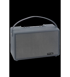 Pilelistore   F32 2x50W Sürücülü 2 Adet Mikrofonlu BT 5.2 Kablosuz Hoparlör - Siyah